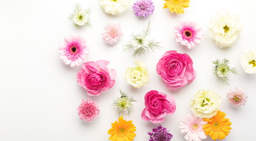 等間隔に置かれたカラフルな花々の装飾と切り花の配置