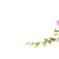 ピンクの薔薇と緑のツタで彩るウェディング装花フレームの写真