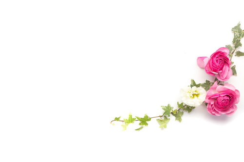 ピンクの薔薇と緑のツタで彩るウェディング装花フレーム