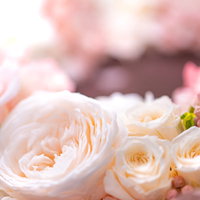 白とピンクのバラで作った祝福のリースの写真