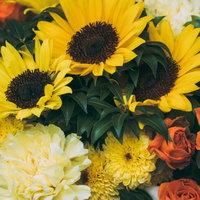 黄色いひまわりとオレンジ色のバラの夏の花束の写真