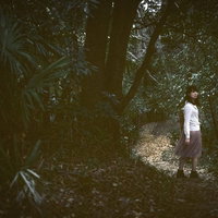 樹海の薄暗い獣道で振り返る白いロングスリーブの女性の写真