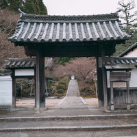 酬恩庵一休寺の瓦屋根の門から続く石畳の参道の写真