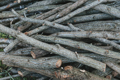 積み重ねられた細い丸太と薪の積み木