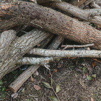 庭に捨てられた細い丸太と薪の積み重ねられた廃材の写真