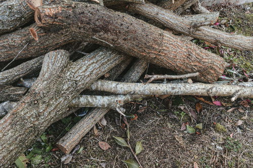 庭に捨てられた細い丸太と薪の積み重ねられた廃材