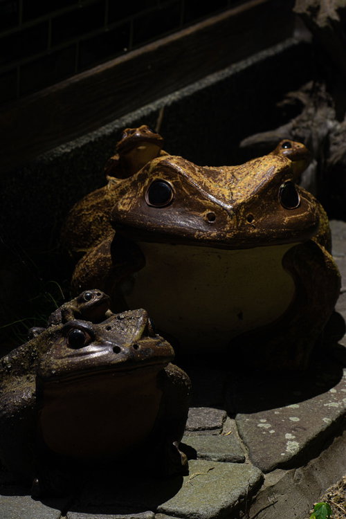 茶色い陶器のガマの置物の水辺風景