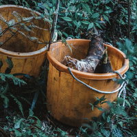 竹かごに入れた収穫されたばかりの筍と春の農産物の写真
