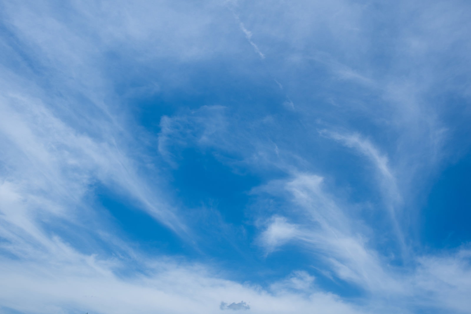 澄んだ青空に白い薄雲が流れるように広がる晴天の空
