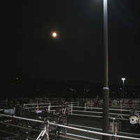 街灯に照らされた夜の駐輪場と自転車の写真