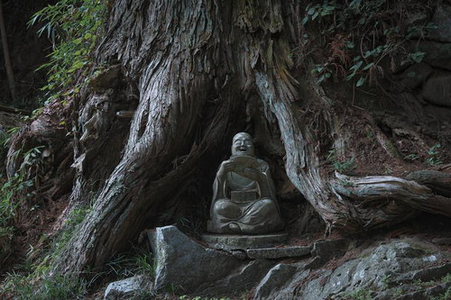 東堂山満福寺の樹齢を重ねた杉の根元に安置された石像