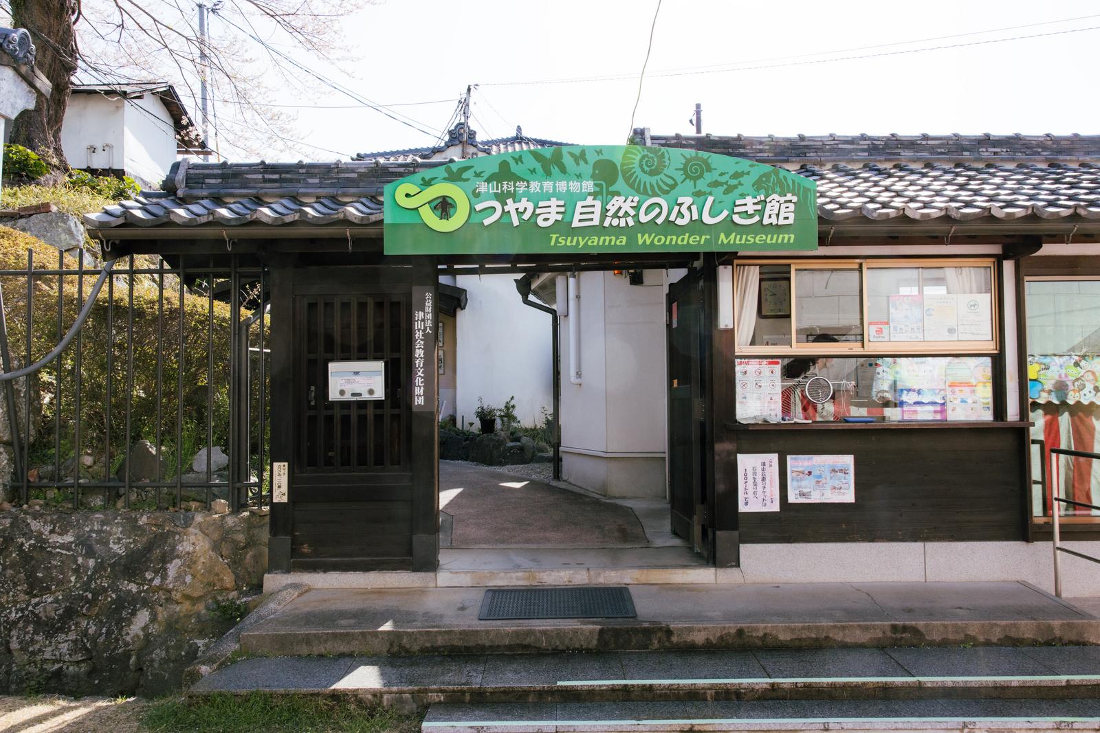 ガラスケースに展示された世界中の珍しい鳥の剥製標本が複数並んでいる