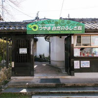 つやま自然のふしぎ館にある第6室 世界の鳥（珍鳥）コーナーの写真