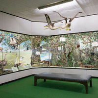 つやま自然のふしぎ館にある第15室 西アジア・アフリカの動物の写真