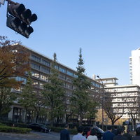 外務省の建物と官庁街の秋の街並みの写真