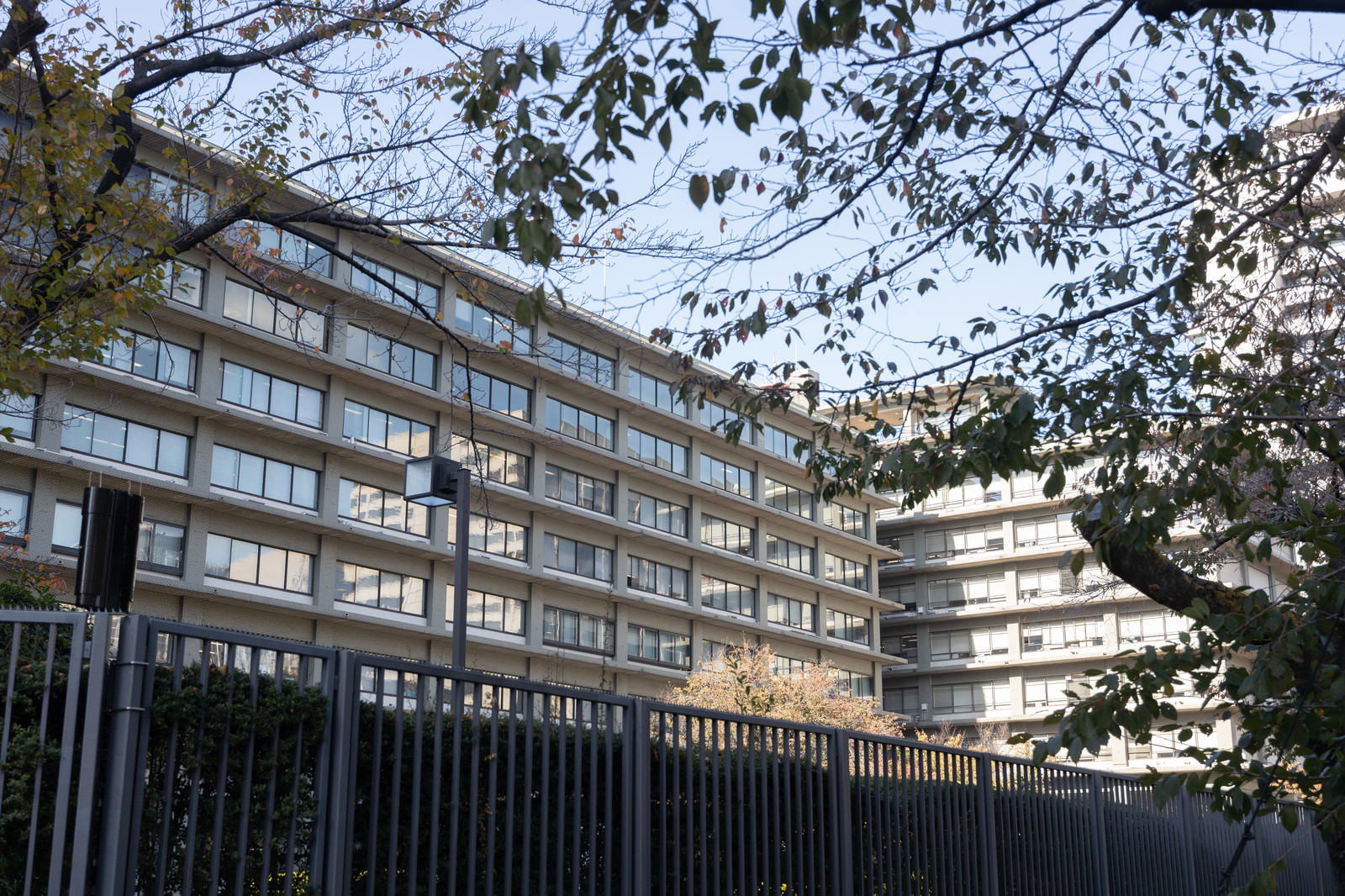 白い外壁の近代的な外務省庁舎建物