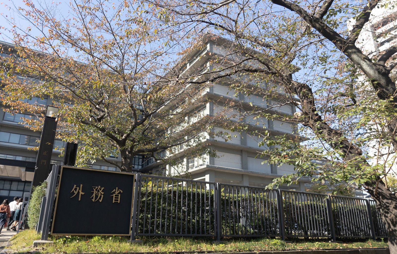 満開の桜が咲く外務省庁舎の外観