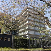 春の外務省庁舎と満開の桜、白い建物と薄紅色の花の写真