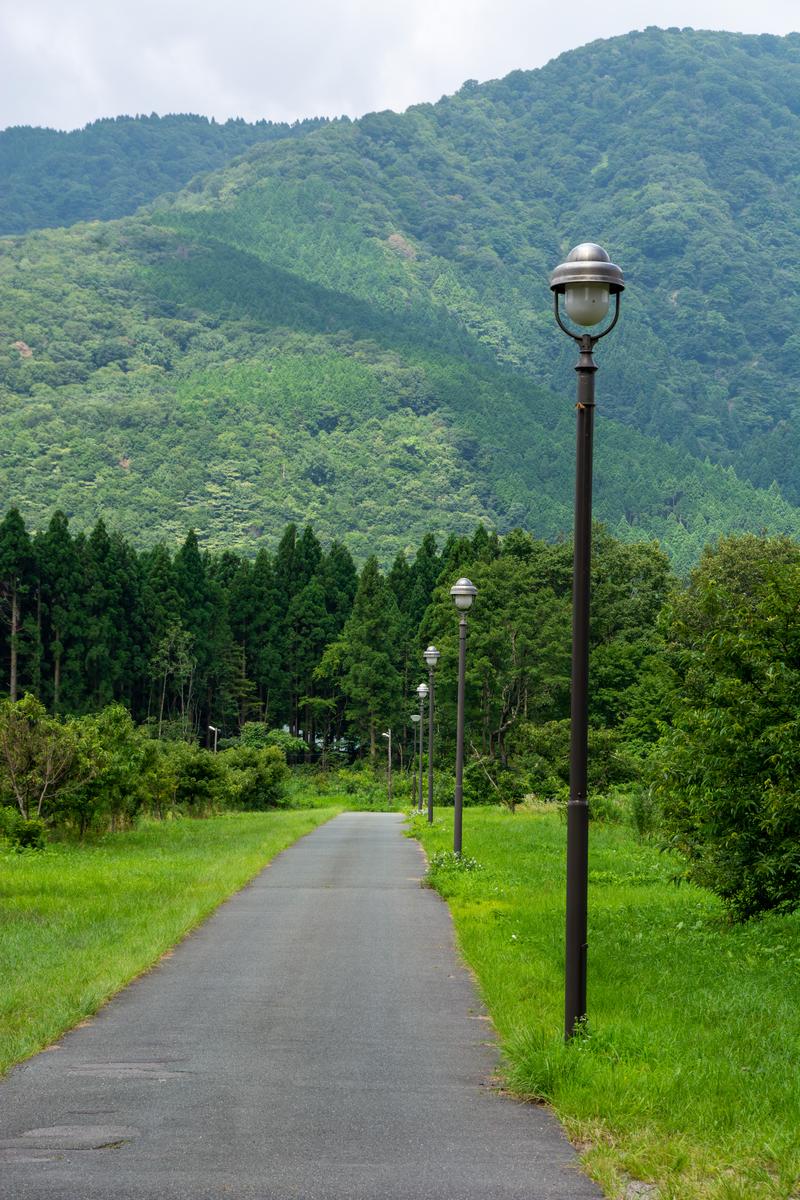 メタセコイア並木から山へ続く細い歩道に街灯が並ぶ景観