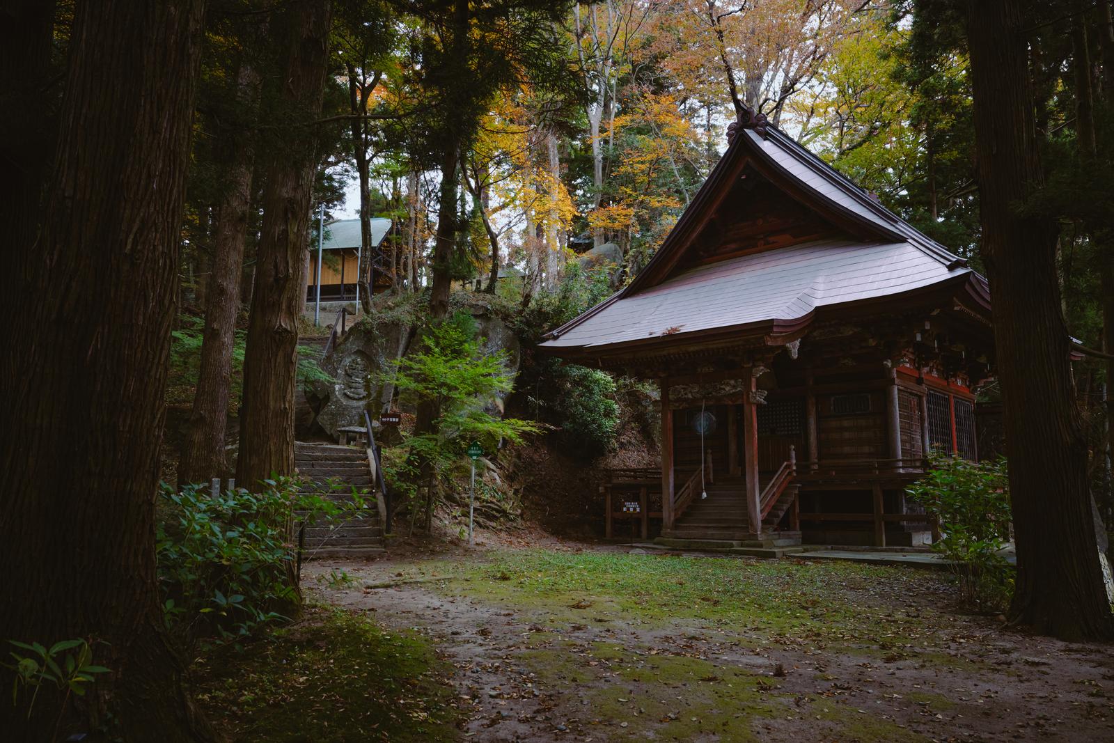 杉林に囲まれた岩角寺の那智観音堂の全景。白い屋根と赤い柱のお堂が見えている