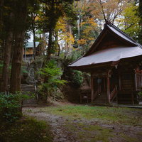本宮市・岩角寺の那智観音堂、巨木に囲まれた静かな境内の写真