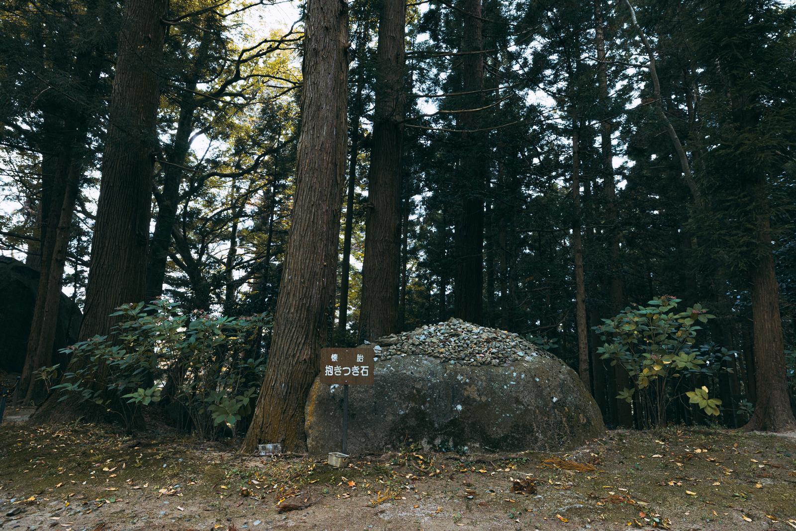 岩角寺の境内に立つ苔むした抱きつき石と杉の巨木に囲まれた参道