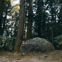 岩角寺の境内に佇む抱きつき石と杉の巨木の風景の写真