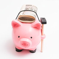 札束を背負ってきた豚の貯金箱で資産運用をの写真