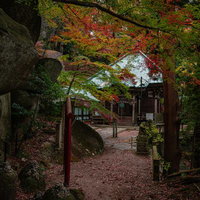 秋の岩角寺参道と毘沙門堂、紅葉に包まれた境内の写真