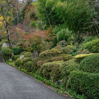 本宮市・岩角寺の参道を照らす照干一隅燈籠の写真