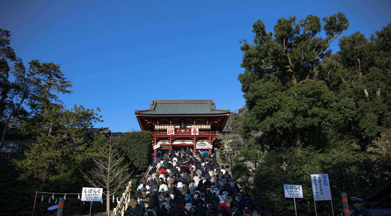初詣で長い行列ができている鶴岡八幡宮の石段と本宮