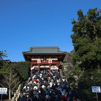 鶴岡八幡宮の初詣で石段に続く参拝者の行列の写真