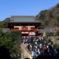 初詣の参拝客で石段を埋め尽くす鶴岡八幡宮の写真