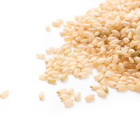 白い背景に散らばった淡褐色の玄米粒と穀物の写真