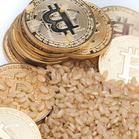玄米は利確済み（仮想通貨）のパロディの写真