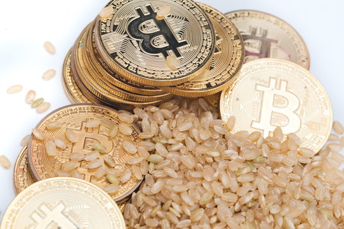 玄米は利確済み（仮想通貨）のパロディ