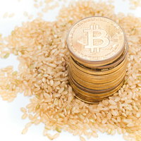 玄米と仮想通貨の玄米婚の写真