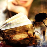 読書の秋、洋書とドライフラワーのフォトモンタージュの写真