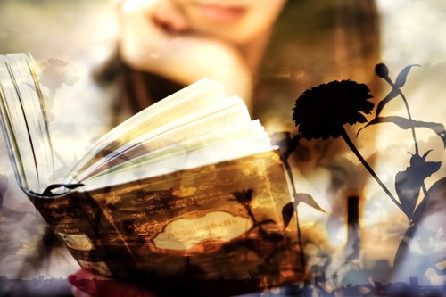 読書の秋、洋書とドライフラワーのフォトモンタージュ