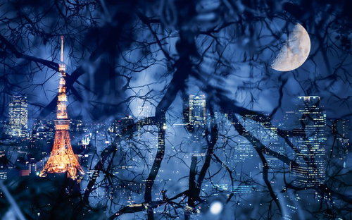 東京タワーと半月の夜景を組み合わせたフォトモンタージュ