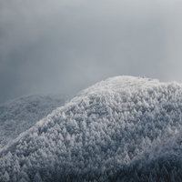 樹氷に覆われた冬の山々、針葉樹林の雪山風景の写真