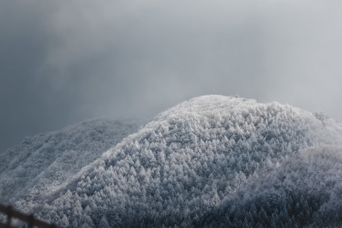 樹氷に覆われた冬の山々、針葉樹林の雪山風景