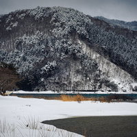 雪に覆われた山並みを望む郡山市の湖畔の冬景色の写真