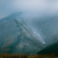 ガスのかかった雪の山に飛び立つ白鳥、朝霧に包まれた冬景色の写真