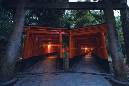 伏見稲荷大社の千本鳥居を行く参道の夜間ライトアップ