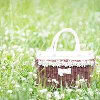 春の花畑でのピクニックに持ってきたバッグの写真