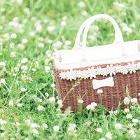 シロツメクサの花畑に囲まれたピクニックバスケットの写真