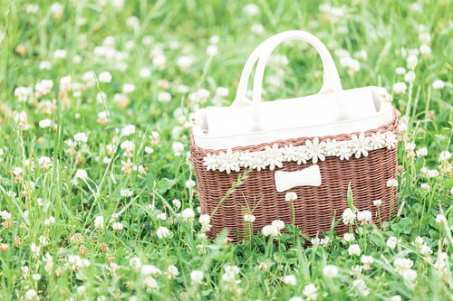 シロツメクサの花畑に囲まれたピクニックバスケット