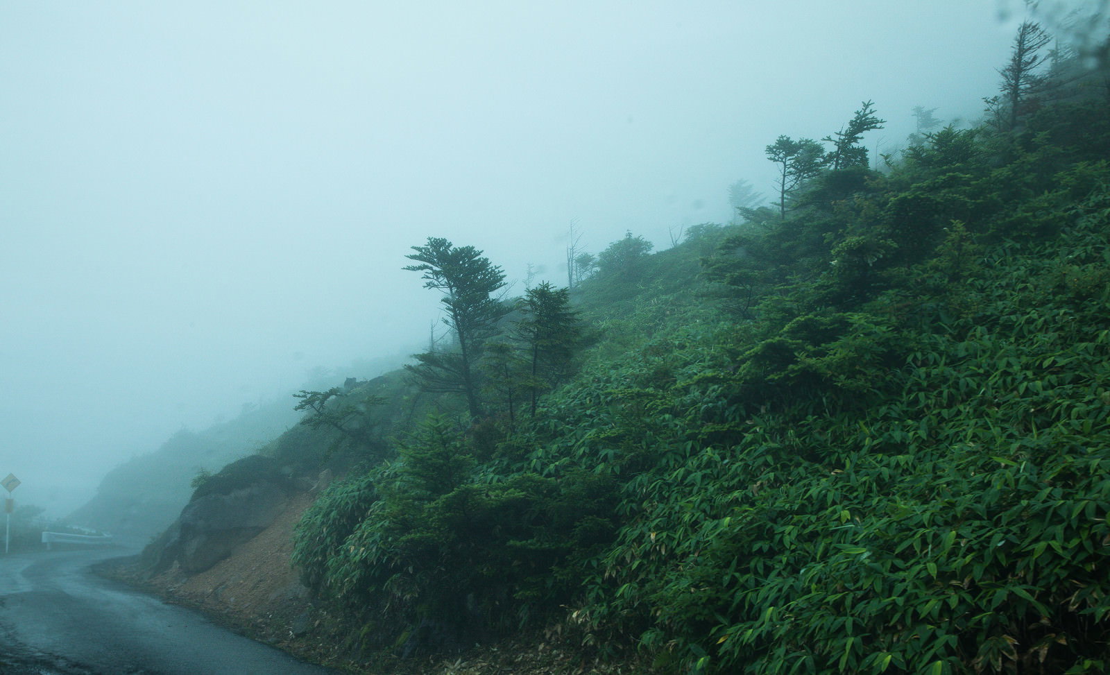 豪雨と霧に包まれた山間部の道路、視界が悪く荒れた天候