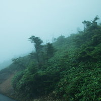 山道を吹き荒れる豪雨と霧、悪天候時の視界不良と自然災害の写真